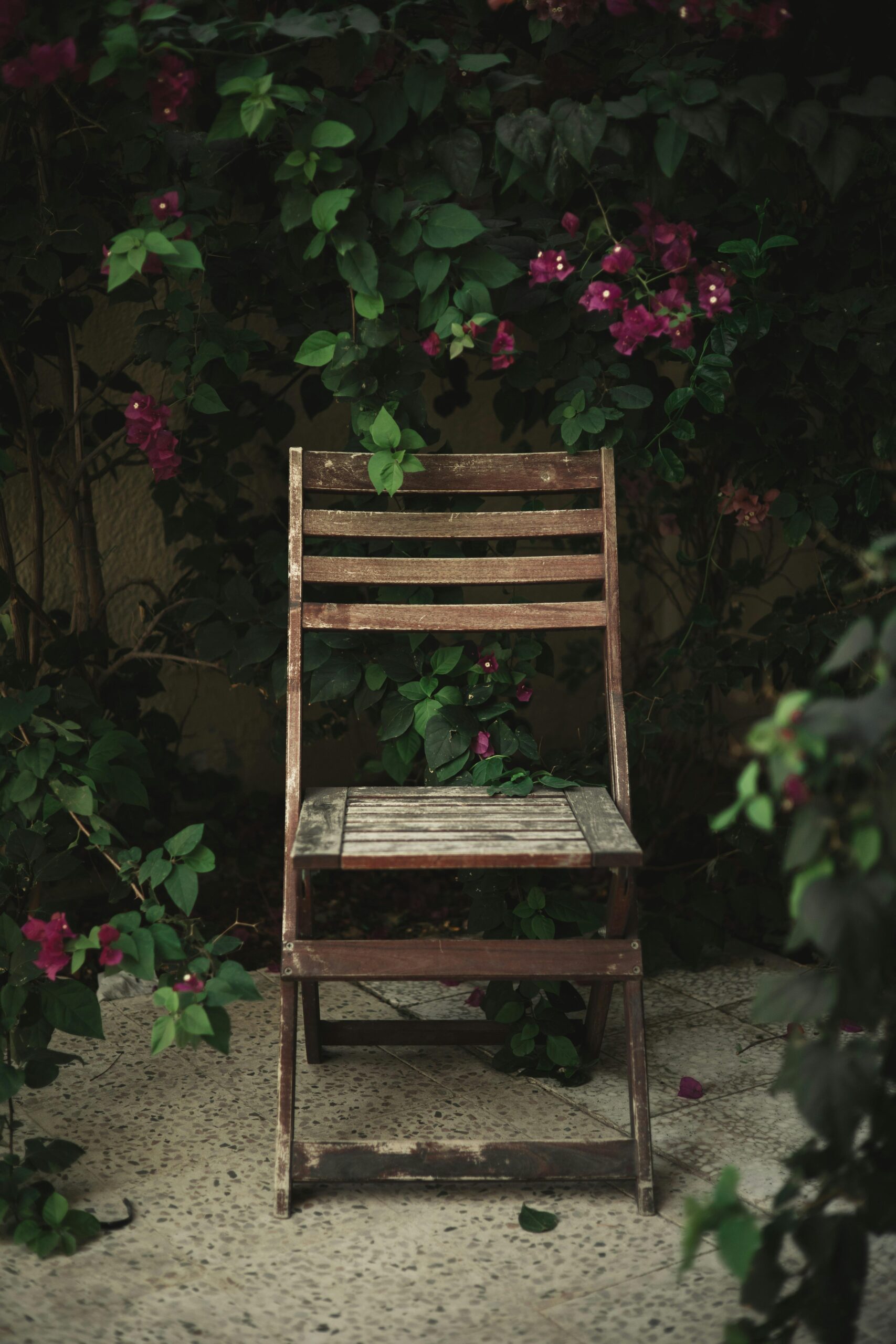 pexels bryanhave 16704942